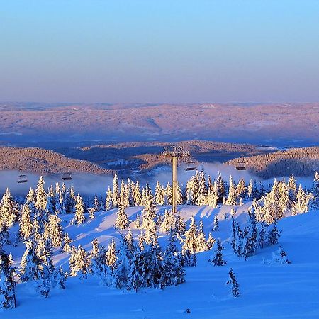 Sjusjoen Hytteutleie As Kültér fotó