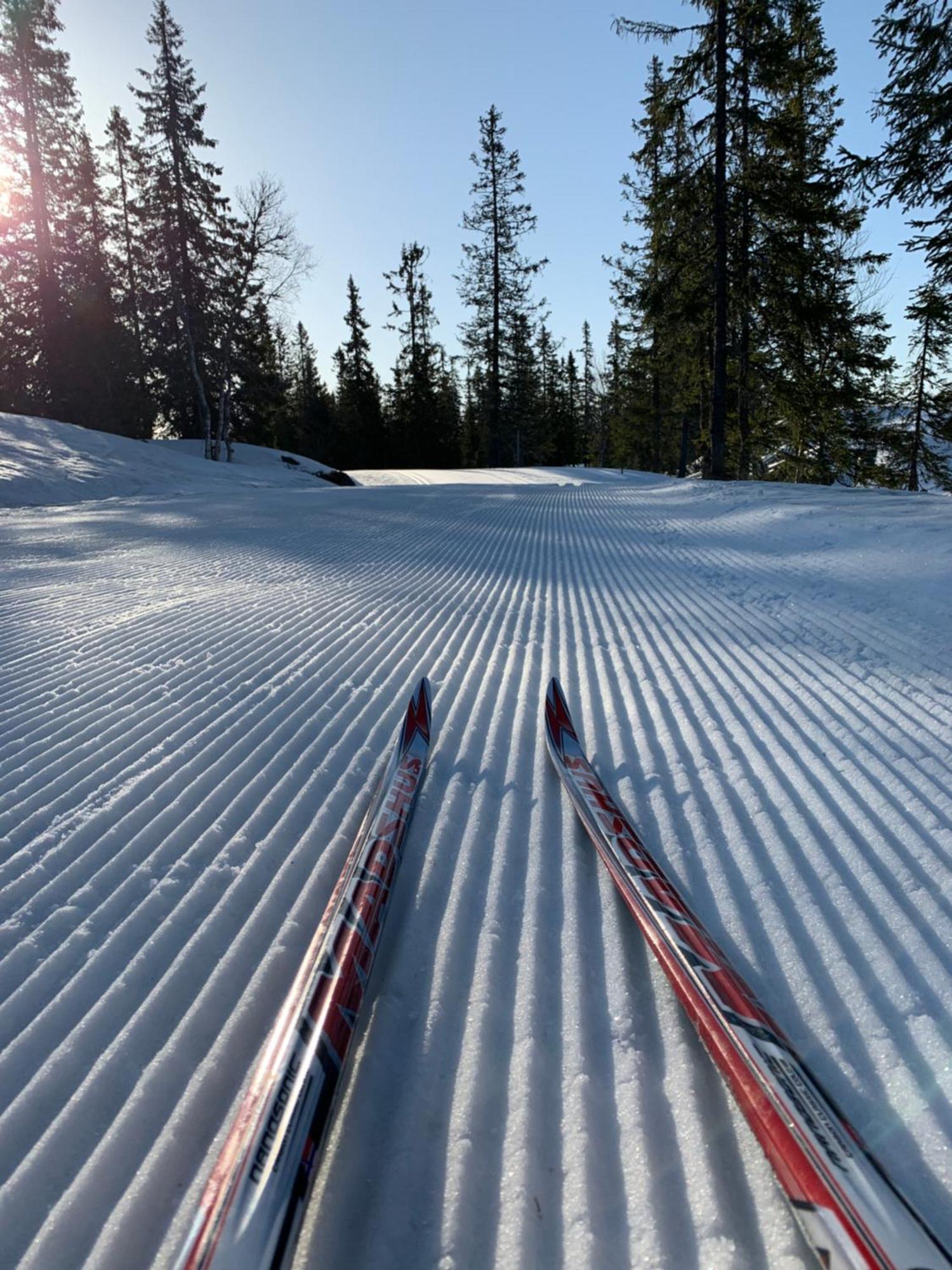 Sjusjoen Hytteutleie As Kültér fotó